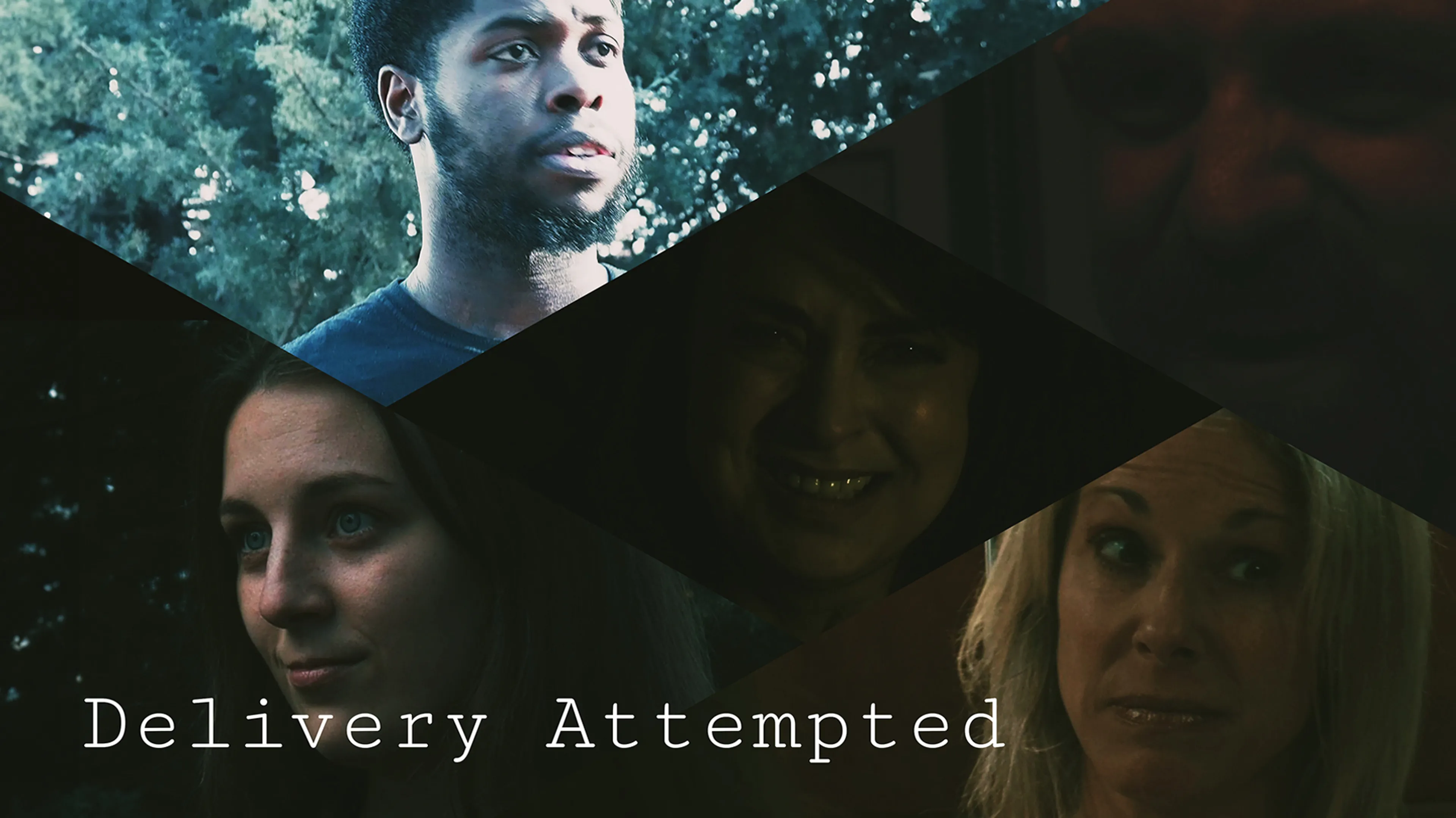 Delivery Attempted poster